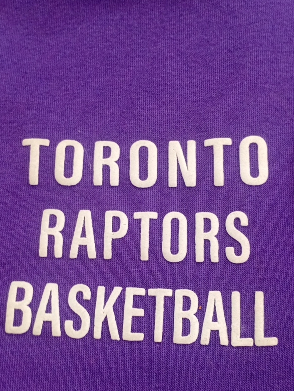 Toronto Raptors Hoodie - Picture 3 of 9